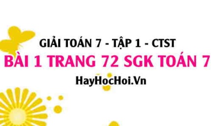 Giải bài 1 trang 72 Toán 7 Tập 1 SGK Chân trời sáng tạo